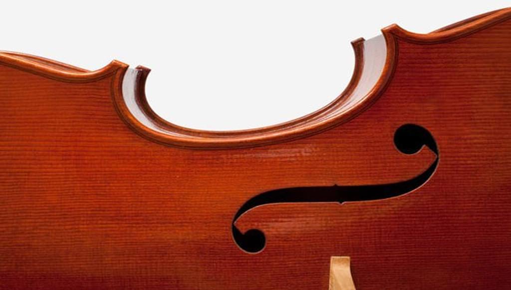 Close up of the waist and 'f' hole of a violin from the Calleva foundation