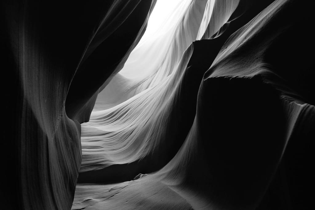 A decorative monochromatic image of high and low contrast areas