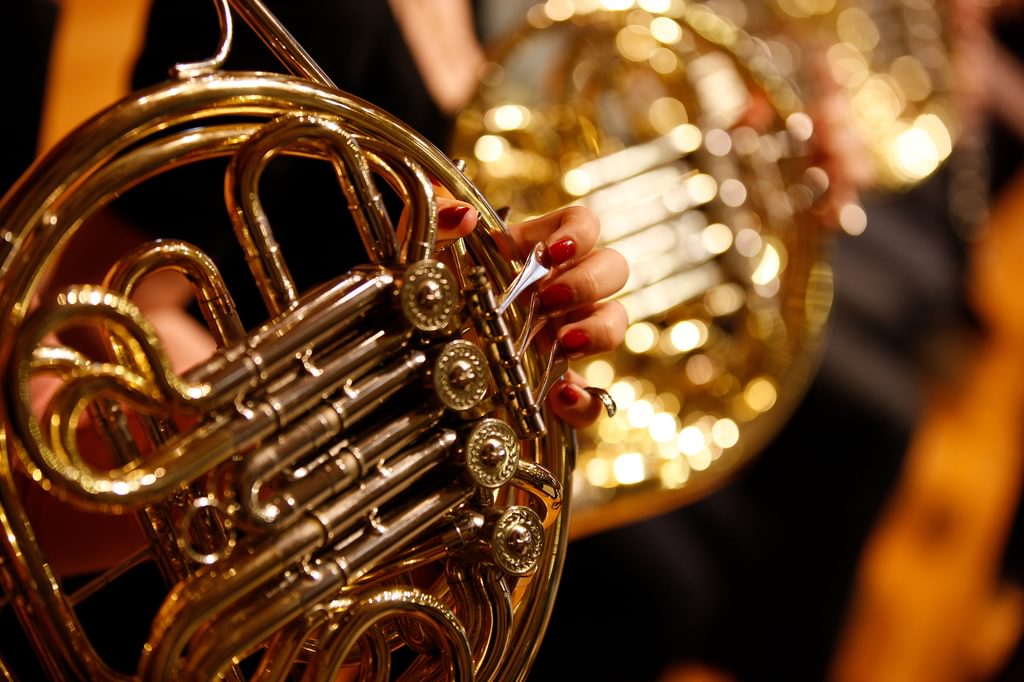 A row of horns