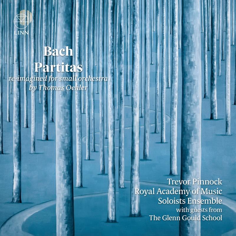 Illustration of trees, painted in blue, cover for a CD case