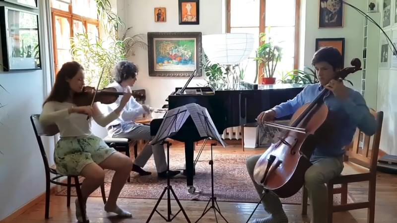 A musical trio perform at home