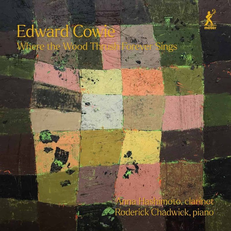 A record cover featuring roughly painted coloured squares in natural hues with the album title over the top