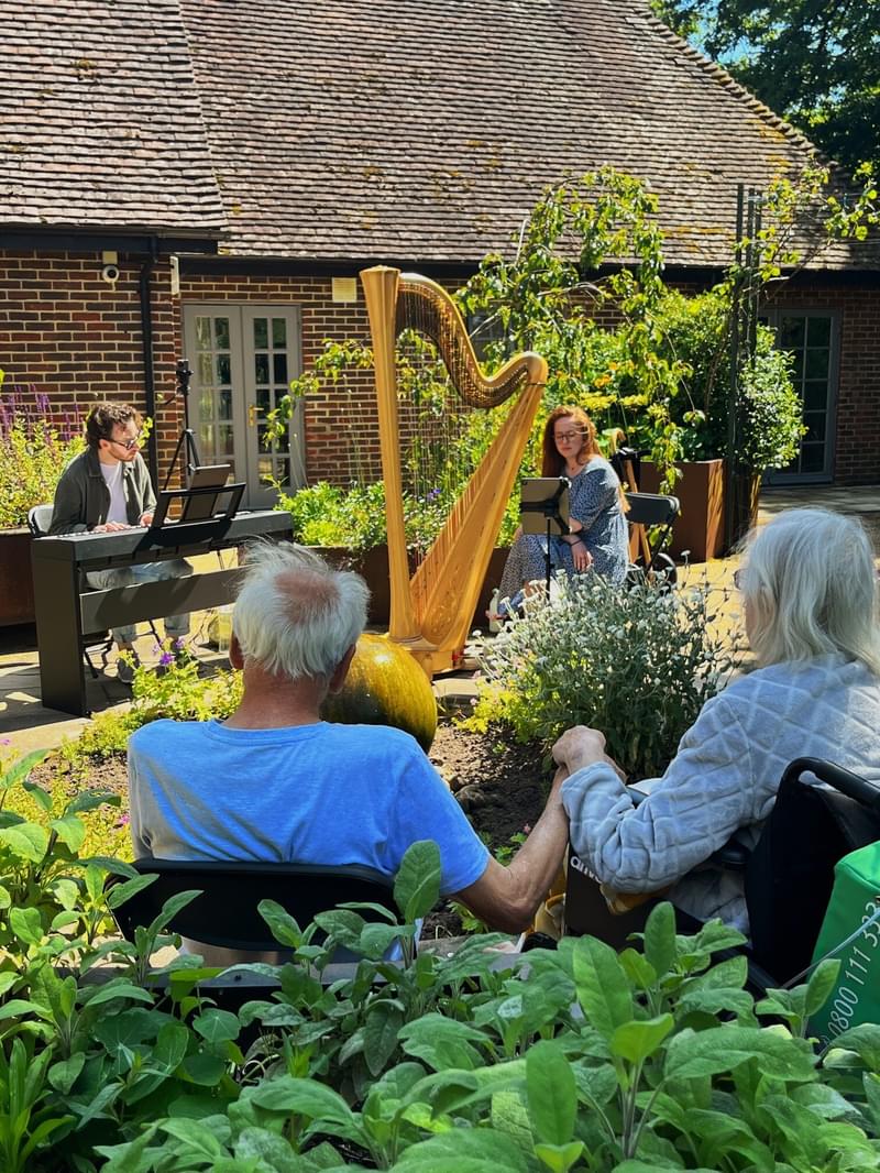 A harpist plays to an audience in a casual outdoor setting